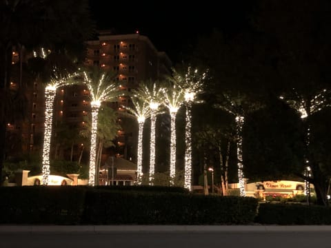 Nearby Christmas palm tree display