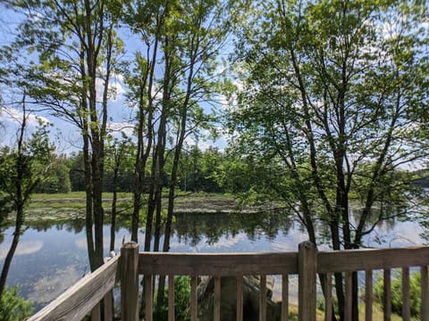 Views of the water from the back porch