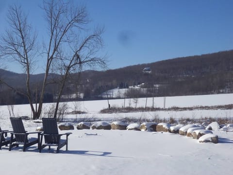 The Pond Viewing Area