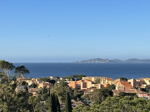 Beach/ocean view