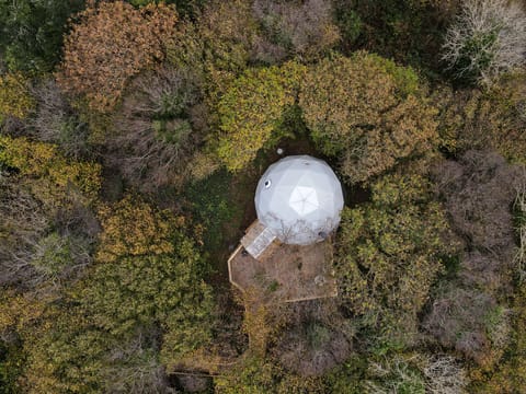 Our Treehouse Dome