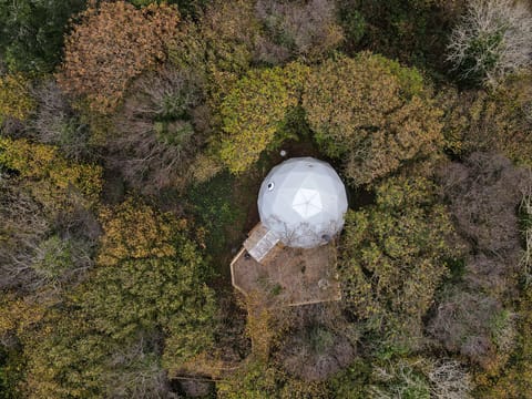 Our Treehouse Dome