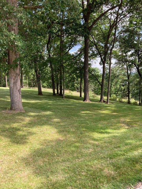 On a rare occasion you can catch a glimpse of wild turkey and fox.