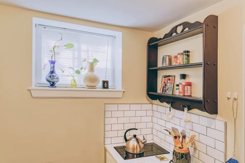 lower level kitchenette view #1