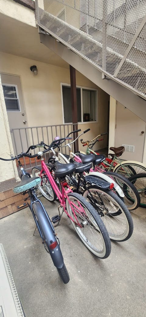 Beach cruiser bikes available to rent.