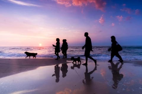 You can walk two short blocks to the beach- and Rosie's Dog Beach. Or go toward the bay.  Or rent our bikes and take a great ride along the bike path on the sand!