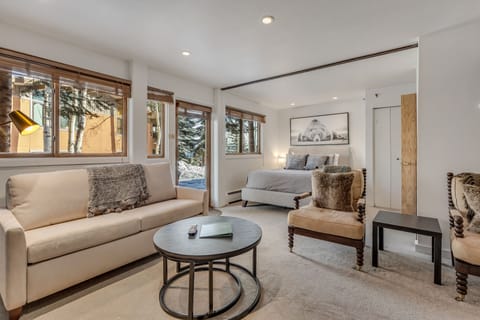 Living room with sleeper sofa