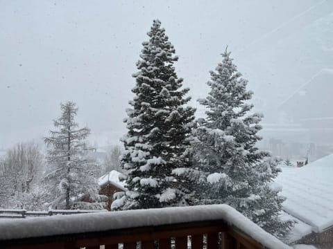 68A49871 5565 40BB 8E6C 77AC488CB940