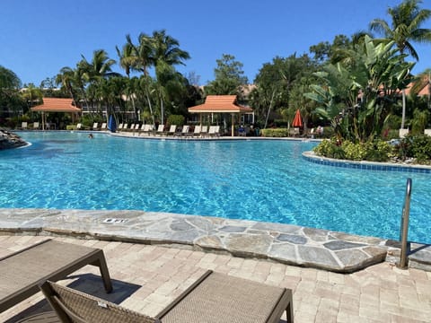 Enjoy the largest heated salt water pool in all SW Florida 