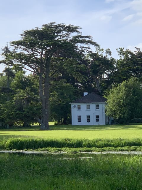 Cozy Cot from across the lake