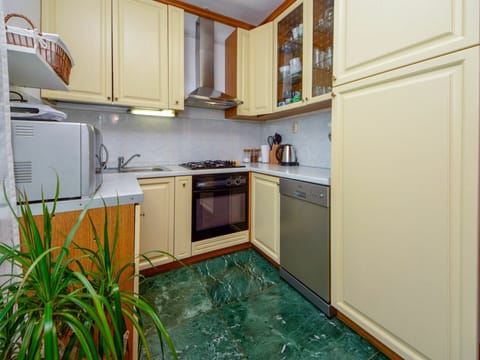 Countertop, Cabinetry, Kitchen Appliance, Kitchen Sink, Sink, Kitchen Stove, Kitchen, Home Appliance, Water, Plant