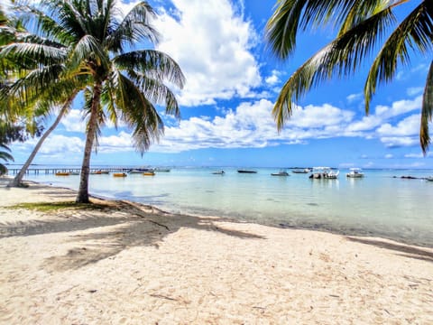 Beach with crystal clear waters, direct access from the Tropical Soul for an unforgettable vacation!