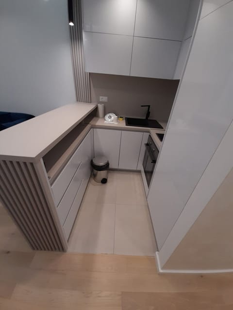 Kitchen shares space with the dining table with chairs