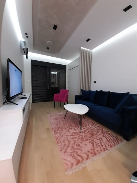 Living room with modern furniture, flat TV, air-conditioning and free Wi-Fi