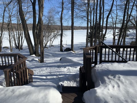 Winter view of the lake