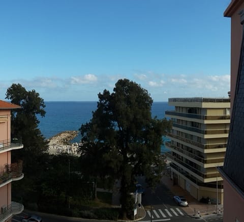 Beach/ocean view