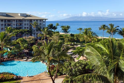 Aerial view of resort/pool/ocean