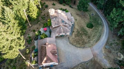 Drone view of the Castle.
