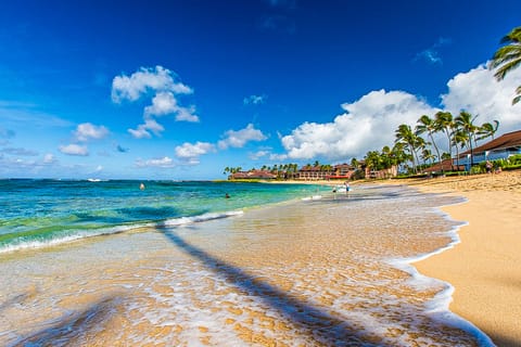 Beach