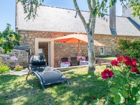 Flower, Plant, Sky, Property, Building, Leaf, Tree, Chair, House, Window