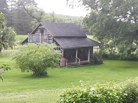 Peaceful, quiet, secluded.  Park under the tree, in front of the Cabin.