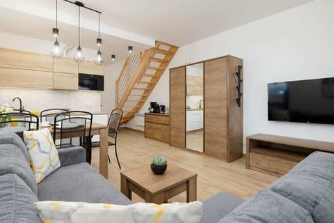 Living room with sofa bed, TV, closet with mirror and access to the terrace/patio.