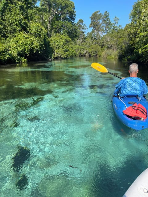 Bask in the crystal clear Weeki wachee Head Springs upriver.  Make advance RSVP
