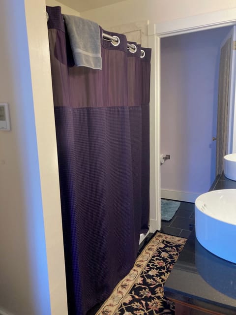 Shower in Alice Suite