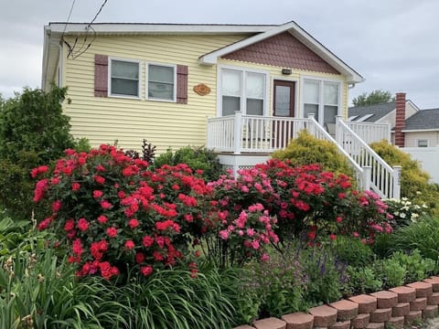 Welcome to Bay Breeze Cottage!