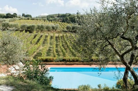 Facilities, Garden, Outdoor, Planimetry, Pool, Summer, Wellness