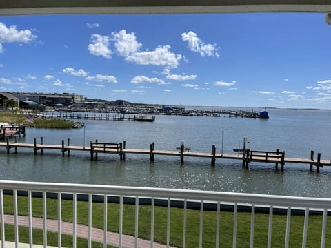 Southern water view from the kitchen and balcony