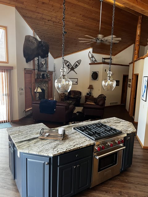 Newly remodeled kitchen island and range