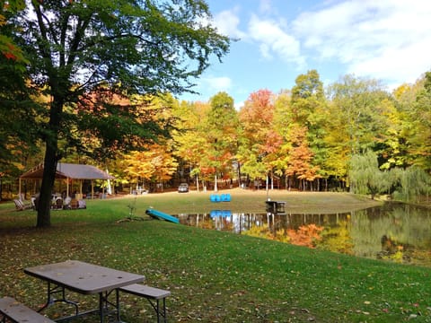 Fall Foliage beauty here at Water to Wine Glampground. 
