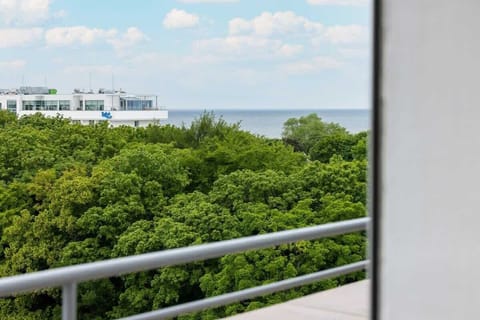 A scenic view from the balcony overlooking a lush green park and a serene blue sky.