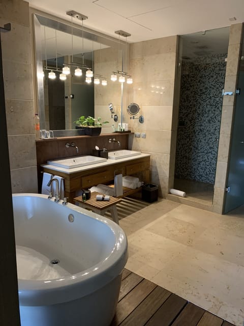 Bathroom/Shower/Jacuzzi Tub