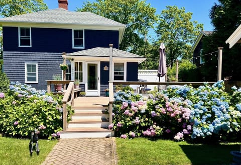 New wrap around deck, entrance from driveway to 1/2 bath, pantry and big kitchen
