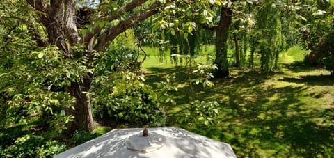 Views from roof lights in Mezzanine bedroom