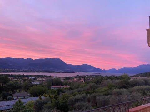 External view of the building. view from the building