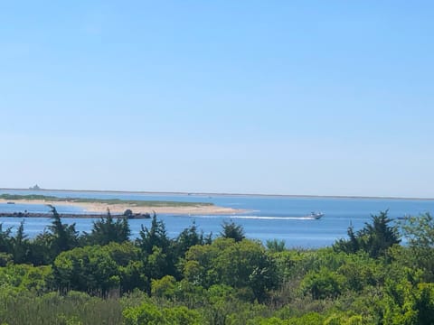View From Master B.R Deck