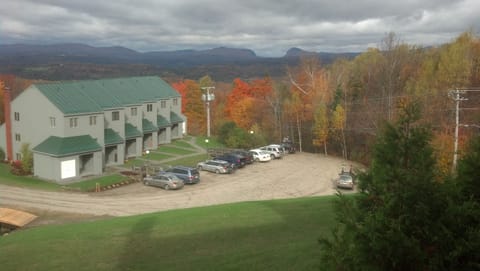 view from condo ( building is similar to building seen)