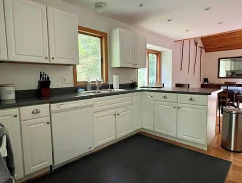 Kitchen view from front door and dishwasher