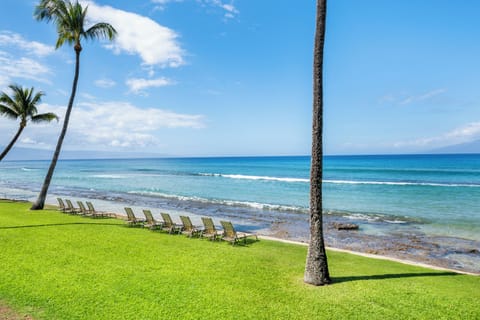 PakiMaui103-23