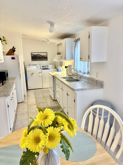 Kitchen/laundry area