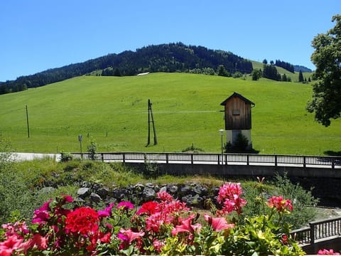 Appartement Bergblick + Natrun - Hotel Sonnenlicht Bed and Breakfast in Maria Alm