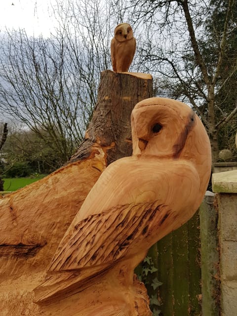 Owl's Roost, Cotswolds (Sleeps 2) Carved Owls wait to welcome guests.