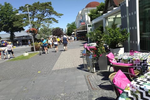 Immediate Surroundings [summer] (<1 km)