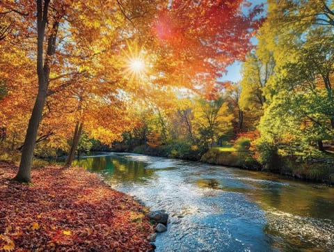 Welcome to Dorset! Enjoy the views from our backyard on the Mettowee River.