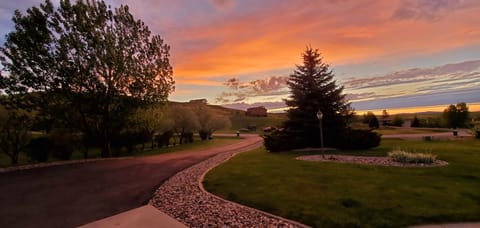 Front driveway 
