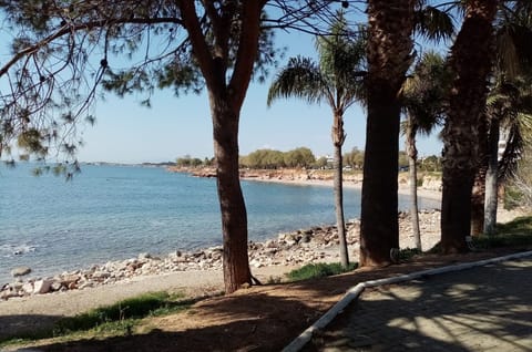 Athens Riviera Voula - Local Beaches Bo Beach 