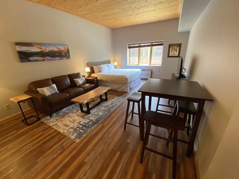 Remodeled, attractive Studio condo!